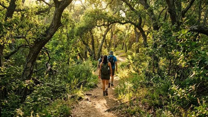 People hiking on a scenic dirt trail surrounded by green oak trees at Oak Canyon Nature Center in Anaheim.