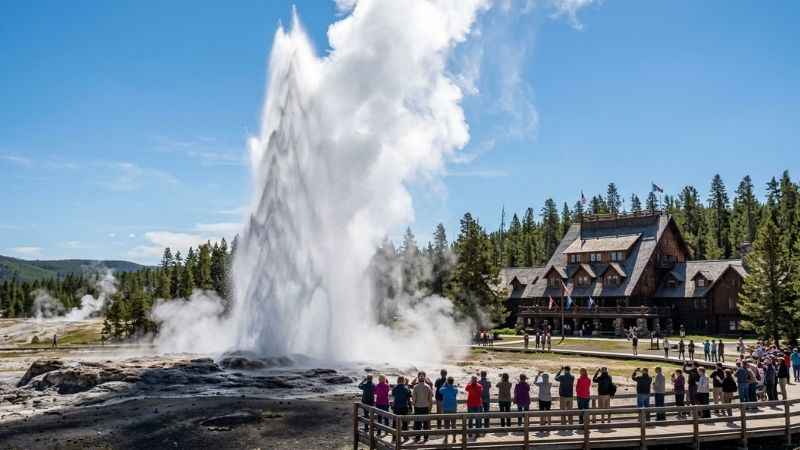 Old Faithful geyser erupting steam and water into the sky at Yellowstone National Park.