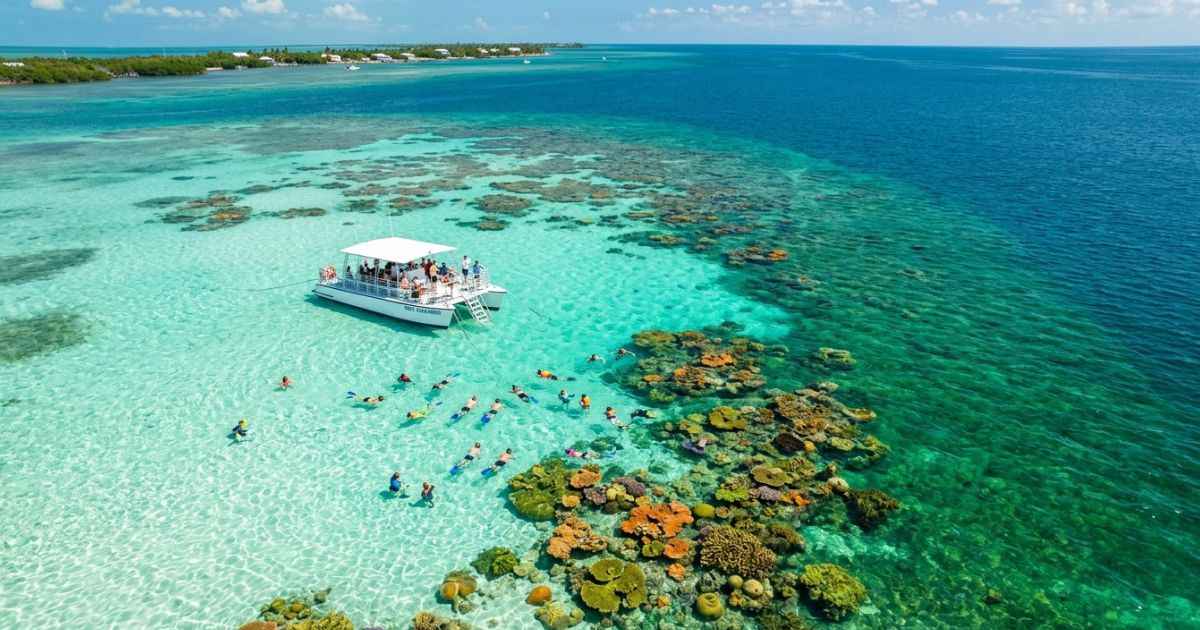 Snorkelers exploring the clear water and coral reef at Christ of the Abyss in Key Largo.