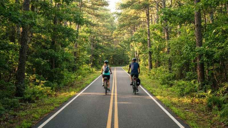 Cyclists riding along the flat paved Cape Cod Rail Trail surrounded by green pine trees.